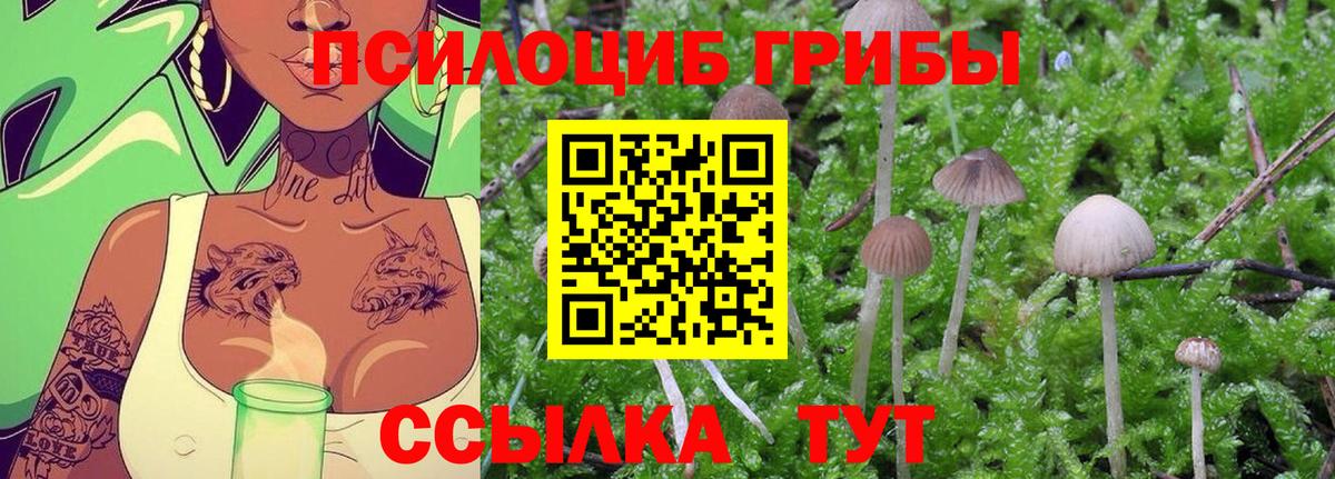 Галлюциногенные грибы GOLDEN TEACHER Отрадный