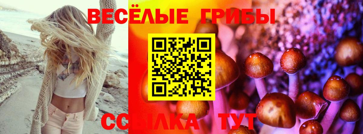 Галлюциногенные грибы Psilocybe  где можно купить наркотик  Отрадный  Вход с VPN 